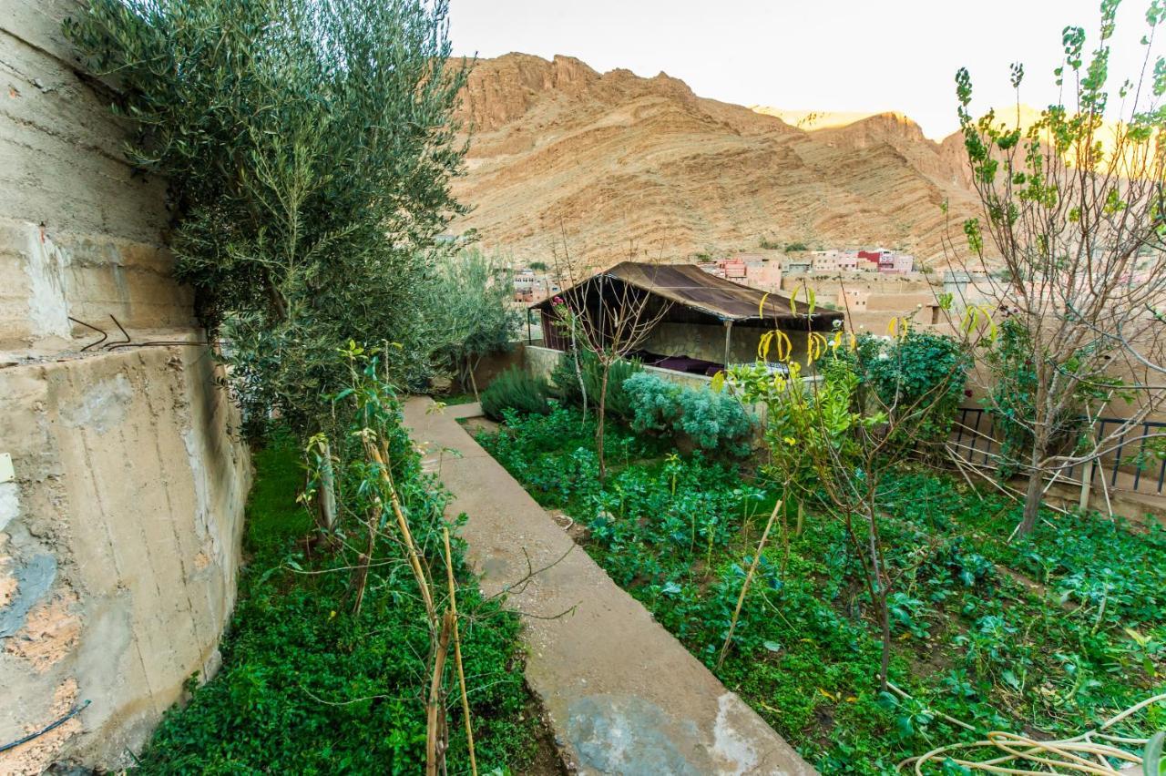 Hotel Les Jardins De Todgha Gorges De Todra Tinghir Aït Baha Exterior foto